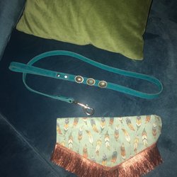 Golden Bone Pet Products - Leather and turquoise leash and adorable cowgirl scarf!