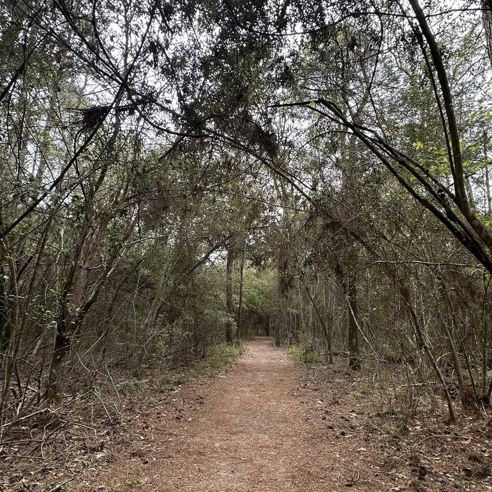 George Mitchell Nature Preserve - Parks Near Me - Spring, Texas George Mitchell Nature Preserve - Parks Near Me - Spring, Texas
