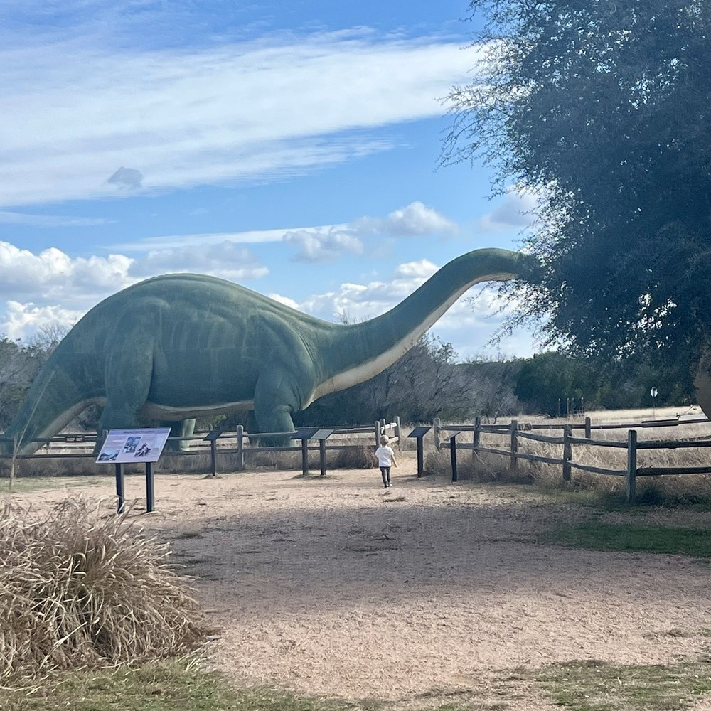 Dinosaur Valley State Park - Parks Near Me - Glen Rose, Texas