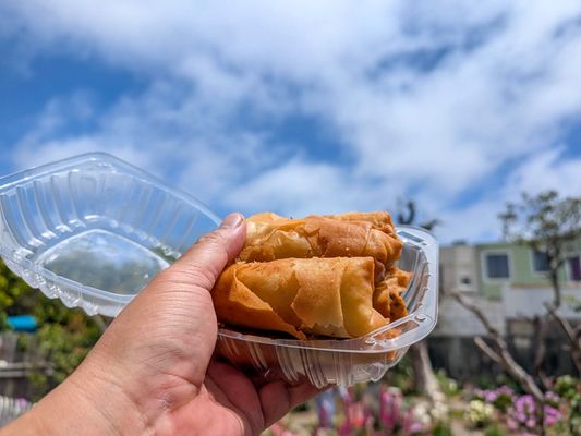 Xiao Long Bao by null
