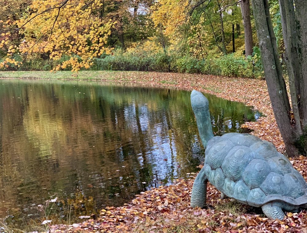 Carousel Park And Equestrian Center - equestrian in Wilmington, DE