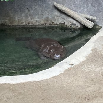 Toronto Zoo - Zoos Near Me - Toronto, Ontario Toronto Zoo - Zoos Near Me - Toronto, Ontario