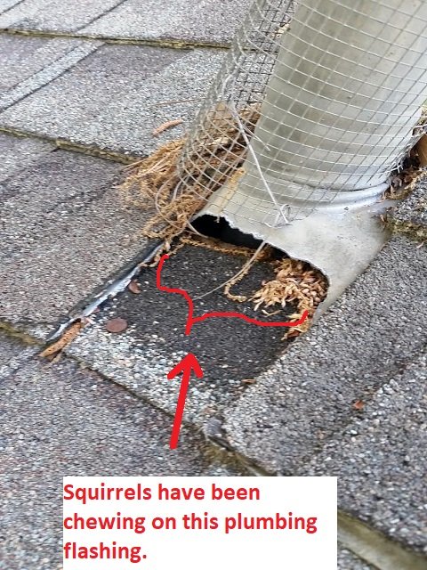 Slide of Doozy Roofs