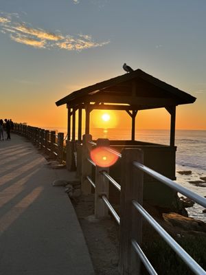 Lifeguard La Jolla Cove by null