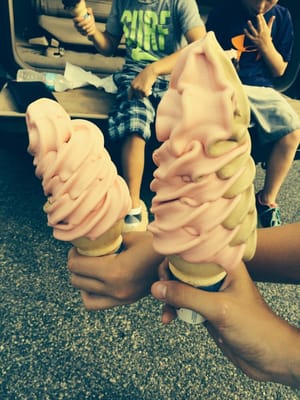 Cedar Hill Dairy Joy by null