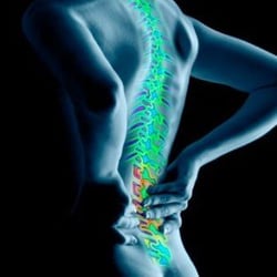 Body First Chiropractic