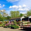 Spillane's Nursery gift card