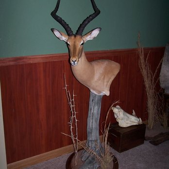 Barry Shertzer's Taxidermy - Barry Shertzer's Taxidermy - Taxidermy Near Me - Lititz, Pennsylvania Barry Shertzer's Taxidermy - Barry Shertzer's Taxidermy - Taxidermy Near Me - Lititz, Pennsylvania