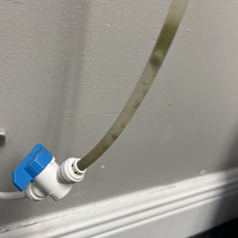Holiday Inn - Drinking fountain water line... thankfully exposed so I can see the mold and avoid it - Venues & Event Spaces Near Me - Miami, Florida Holiday Inn - Drinking fountain water line... thankfully exposed so I can see the mold and avoid it - Venues & Event Spaces Near Me - Miami, Florida