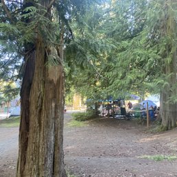 The other view. The pathway is for all of the campers to use the bathroom and showered. The other view. The pathway is for all of the campers to use the bathroom and showered.