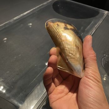 Vespertine - Mussel spoon - New American Near Me - Culver City, California Vespertine - Mussel spoon - New American Near Me - Culver City, California