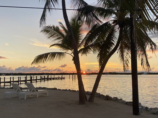 Coconut Palm Inn by null