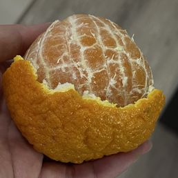It has molded....... - A hand holds a peeled orange with the outer peel partially removed, exposing the fruit inside. The background is a blurred indoor setting.