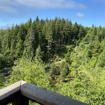 High Life Adventures - I don't love heights, but it was so much fun that the thrill overtook any fears! - Ziplining Near Me - Warrenton, Oregon High Life Adventures - I don't love heights, but it was so much fun that the thrill overtook any fears! - Ziplining Near Me - Warrenton, Oregon