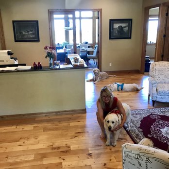 Jolein A Harro - Dogs! - Divorce & Family Law Near Me - Littleton, Colorado Jolein A Harro - Dogs! - Divorce & Family Law Near Me - Littleton, Colorado