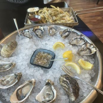 Tidal+ - Oyster of The Day* - Seafood Near Me - Seattle, Washington Tidal+ - Oyster of The Day* - Seafood Near Me - Seattle, Washington
