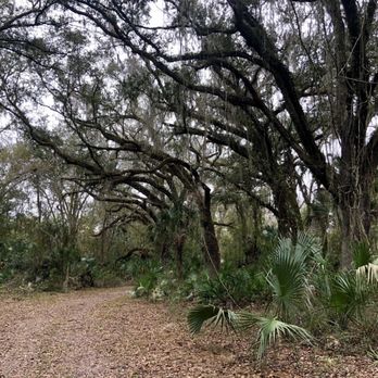 Wilderness Park - Dirt trail - Parks Near Me - Thonotosassa, Florida