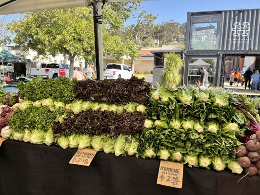 Ventura Farmers' Market (Downtown) by null