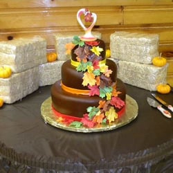 Cake Shotts