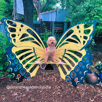 The Natural Gardener - Nurseries & Gardening Near Me - Austin, Texas The Natural Gardener - Nurseries & Gardening Near Me - Austin, Texas