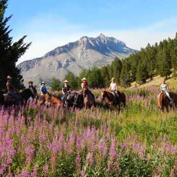 JJJ Wilderness Ranch - Fantastic Horseback Riding - Tours Near Me - Augusta, Montana