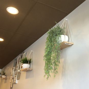 Moena Café - Decor - Cafes Near Me - Honolulu, Hawaii Moena Café - Decor - Cafes Near Me - Honolulu, Hawaii