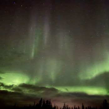 Wild Alaska Travel - Tours Near Me - Anchorage, Alaska Wild Alaska Travel - Tours Near Me - Anchorage, Alaska