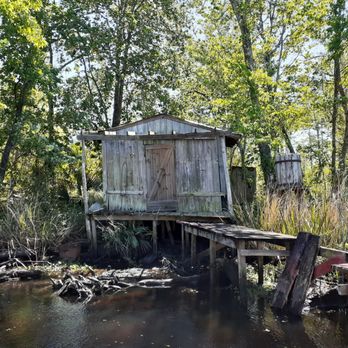 Jean Lafitte Swamp Tour - Boat Tours Near Me - Marrero, Louisiana