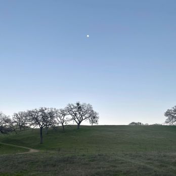 Sunol Regional Wilderness Area - Parks Near Me - Sunol, California Sunol Regional Wilderness Area - Parks Near Me - Sunol, California