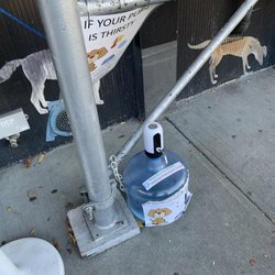 For pets while waiting to be served