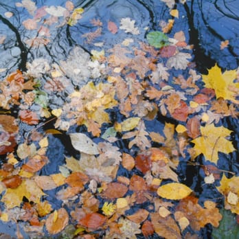 Bramfelder See - Lakes Near Me - Hamburg, HH