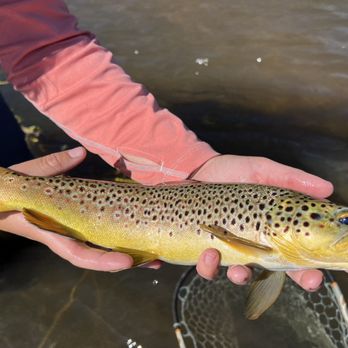 5280 Angler - A person in a pink long-sleeve shirt holds a rainbow trout with colorful spots, near a river or lake. - Fishing Near Me