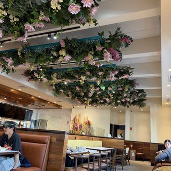 Pho Ha Noi - Vietnamese Near Me - Palo Alto, California Pho Ha Noi - Vietnamese Near Me - Palo Alto, California