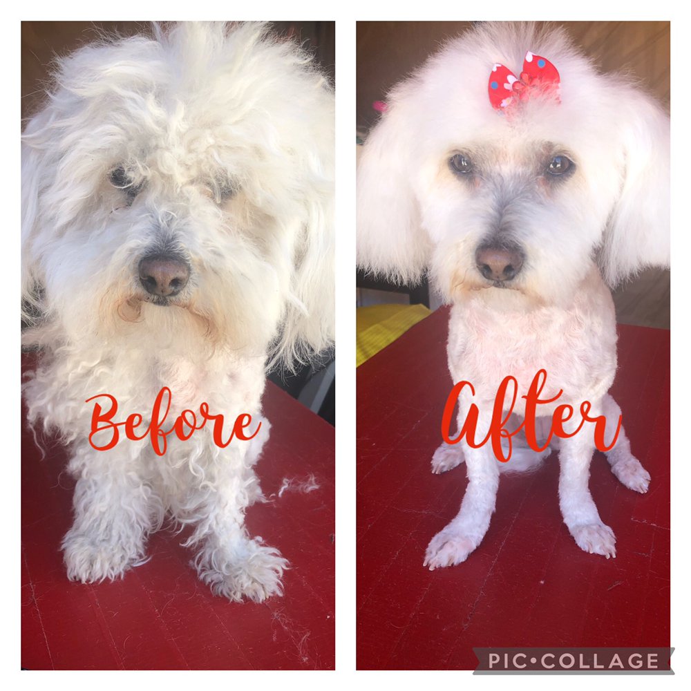 FLOWER GROOM’S Updated June 2024 50 Photos Los Angeles