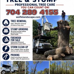 Wolfe Tree & Stump