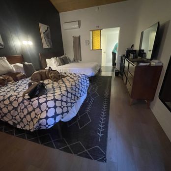 Cave Springs Resort - Bring covers for keeping the hotel linens clean if you let dogs on the bed: - Hotels Near Me - Dunsmuir, California