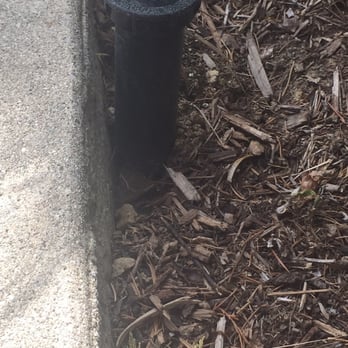 Saul Gonzalez Gardening services - Stole my existing LO Toro head which was 2" and replaced it with a 4" ugly rainbird! - Gardeners Near Me Saul Gonzalez Gardening services - Stole my existing LO Toro head which was 2" and replaced it with a 4" ugly rainbird! - Gardeners Near Me