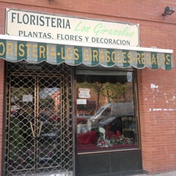 Los Girasoles