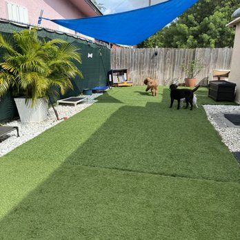 Pawfect Pals Miami - Playtime - Dog Walkers Near Me - Miami, Florida Pawfect Pals Miami - Playtime - Dog Walkers Near Me - Miami, Florida