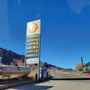 Spanish Trail Shell