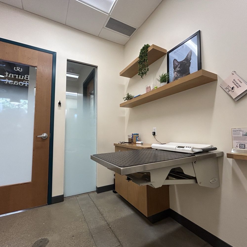 Sploot Veterinary Care - Logan Square - Veterinarians Near Me - Chicago, Illinois Sploot Veterinary Care - Logan Square - Veterinarians Near Me - Chicago, Illinois