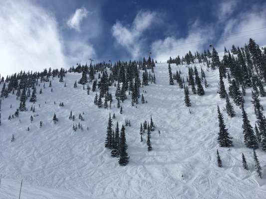Kicking Horse Mountain Resort by null
