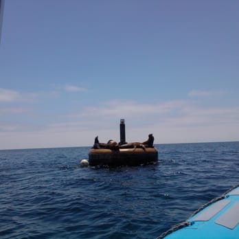 Snorkeling Catalina - Snorkeling Near Me - Avalon, California Snorkeling Catalina - Snorkeling Near Me - Avalon, California