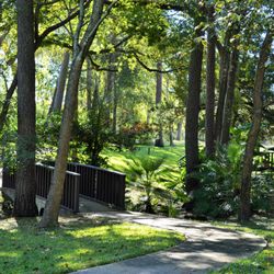 Spell Well Montessori School - Our school campus is 4 acres with walking trails, gardens for the kids, playgrounds and room for outdoor sports and activities.