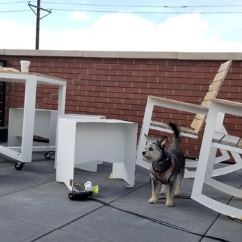 Blue Sparrow Coffee - Rooftop - Coffee & Tea Near Me - Denver, Colorado