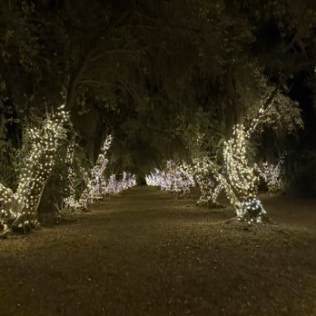 Lavender Nights - Festivals Near Me - Cherry Valley, California Lavender Nights - Festivals Near Me - Cherry Valley, California