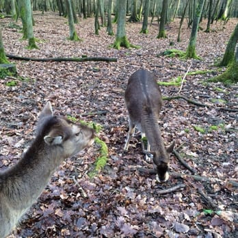 Forstgarten - Active Life Near Me - Bad Homburg, HE