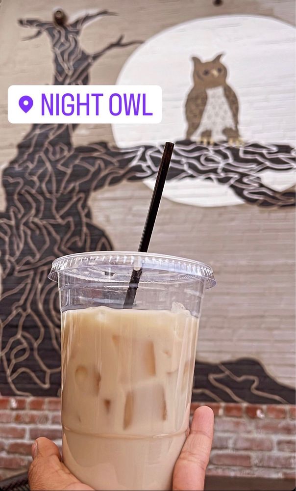 The Night Owl