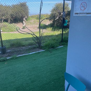 Ocean Villa Inn - The penitentiary fence of the dog run that is also your patio and some dog logs that have been there for two days. - Hotels Near Me - San Diego, California Ocean Villa Inn - The penitentiary fence of the dog run that is also your patio and some dog logs that have been there for two days. - Hotels Near Me - San Diego, California