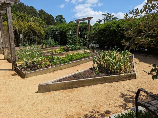 Wilson Botanical Gardens by null